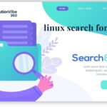 linux search for file